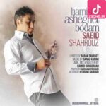 دانلود آهنگ سعید شهروز تو اشتباه بودی (یعنی نه غم داری نه فکر برگشتی یعنی دلِ ساده دوره خودت گشتی) دانلود آهنگ سعید شهروز تو اشتباه بودی (یعنی نه غم داری نه فکر برگشتی یعنی دلِ ساده دوره خودت گشتی)