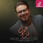 دانلود آهنگ حجت اشرف زاده دل مجنون (من میخوام که تو دلت خونه کنم با چشات یه شهرو دیوونه کنم)