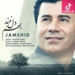 دانلود آهنگ جمشید بهم دل نبند و برو عشق من با دردای این مرد کمتر بساز