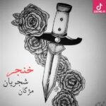 دانلود آهنگ مژگان شجریان خنجر به آوازم مزن بازم مزن، من چون ردای آتشم