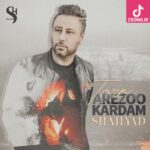 دانلود آهنگ شهیاد تو رو آرزو کردم ولی این آرزو دیدن نداشت واسه من حتی تب نکرد اونی که من هی مردم براش