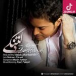 دانلود آهنگ بابک جهانبخش دلتنگی {این زندگی هیچ چیزی جذابی نداره دلتنگ نیستیو نمیدونی چه سخته}