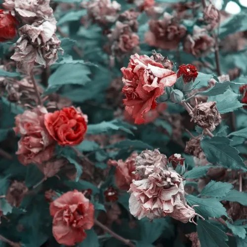 دانلود آهنگ بهرام چرخه (اون بیرون همه تنها و باهمن هی زور میزنن جور بشن) دانلود آهنگ بهرام چرخه (اون بیرون همه تنها و باهمن هی زور میزنن جور بشن)