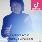  دانلود آهنگ فرشید امین بانوی قلبم (دل منو داشتی و خبر نداشتی و داشتی میکشتیم با)