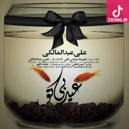 دانلود آهنگ علی عبدالمالکی عید بی تو / این اولین عیدیه که نیستی کنارم تحویل سال اول تو رو ندارم