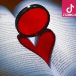 دانلود آهنگ گوگوش شو چشمک