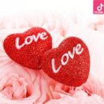 دانلود آهنگ حمیرا می عاشقانه {گفته بودم طفلک بی دستو پا عشق و جنون در به درت میکنه}