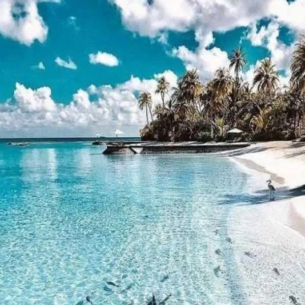 دانلود آهنگ سحر دخت ساحل دانلود آهنگ سحر دخت ساحل