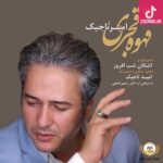 دانلود آهنگ امیر تاجیک قهوه قاجار {این قهوه قجر میداد از چشم تو پیدا بود امشب شب یلدا بود …}