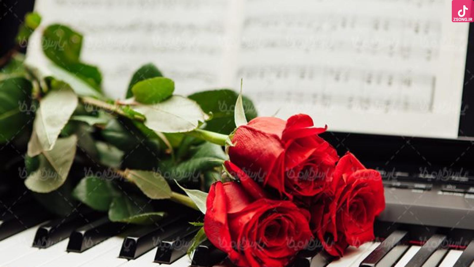 دانلود آهنگ مهستی بیگانه / بی سرانجامی و بد عهدی دنیا رو میگه