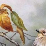 دانلود آهنگ هایده نامهربونی / نا مهربونی نمیخواهی بدونی گذشته بر نگشته