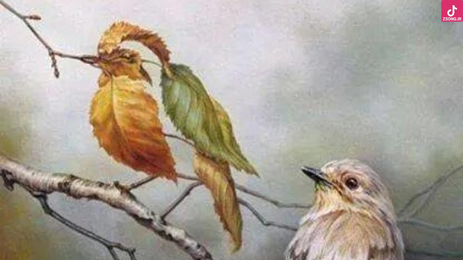 دانلود آهنگ هایده نامهربونی / نا مهربونی نمیخواهی بدونی گذشته بر نگشته