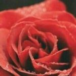 دانلود آهنگ مهستی خدا / خدایه خوب ما دیگه حالا اون خدا نیس …