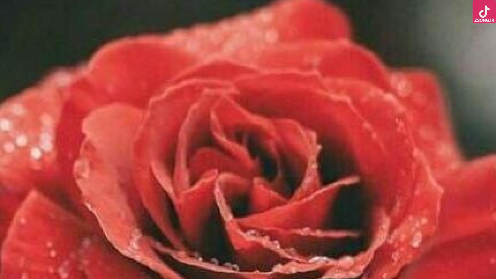 دانلود آهنگ مهستی خدا / خدایه خوب ما دیگه حالا اون خدا نیس ...