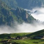 دانلود آهنگ حمیرا خونمو میخوام / من خونمو میخوام کاشونم و میخوام