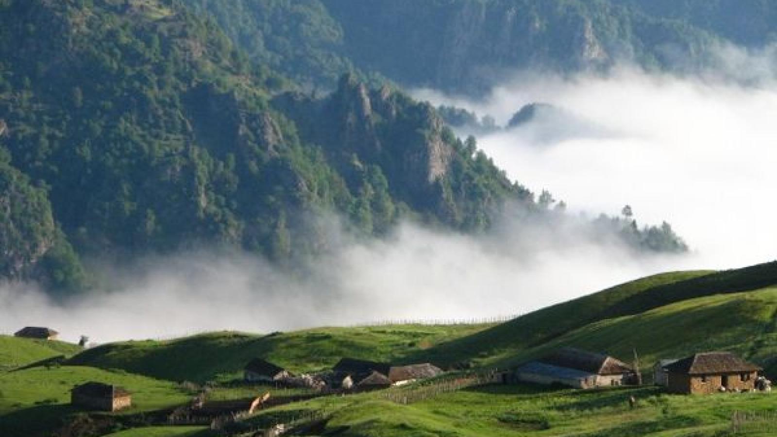 دانلود آهنگ حمیرا خونمو میخوام / من خونمو میخوام کاشونم و میخوام