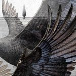 دانلود آهنگ علیرضا قربانی پرواز قوها / ﻣﻦ اون ﺷﻬﺮ دورم ﻛﻪ درﻳﺎ ﻧﺪاره