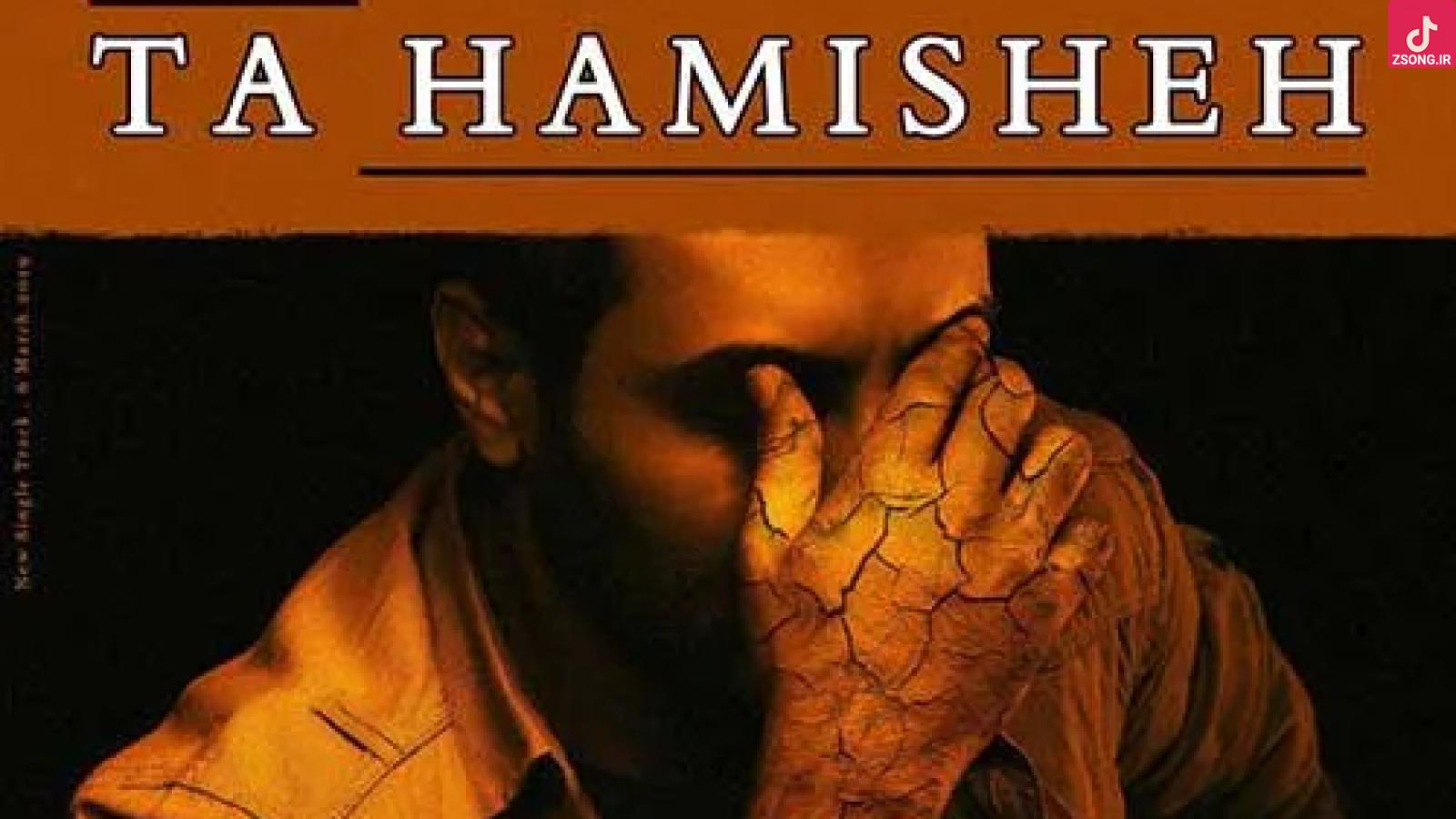 دانلود آهنگ امین حبیبی تا همیشه / شدم شبیه یک ویرانه افتاده گوشه ی میخانه ...