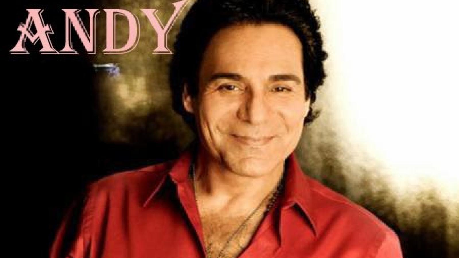 دانلود آهنگ اندی عشق و ایثار / دل من یه شاپرک بود بی خبر اومد سراغت