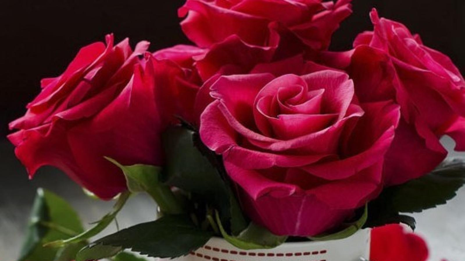 دانلود آهنگ دنیا ماتریکس / جاده بزرگه و من همیشه طی میکنمش