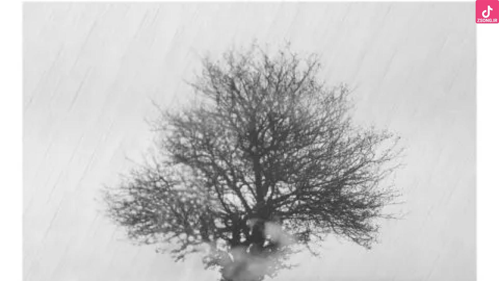 دانلود آهنگ ایهام تمام نا تمام ای عشق بی نهایت