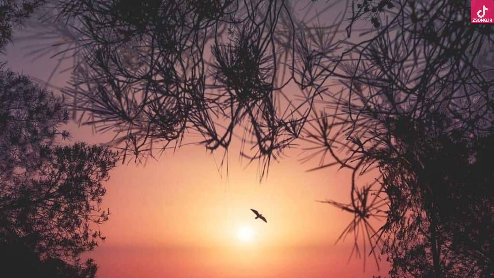 دانلود آهنگ الهه ساقی ای ساقی باز مستم و دیوونه