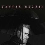 دانلود آهنگ گرشا رضایی خبر خبر یه درختم که باغبون به ریشه‌ ام زده تبر تبر