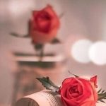 دانلود آهنگ گوگوش حمومی / جانم چل ستون چل پنجره