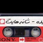 دانلود آهنگ هایده ﺷﺎﻧﻪ ﻫﺎﯾﺖ ﺭﺍ ﺑﺮﺍﯼ ﮔﺮﯾﻪ ﮐﺮﺩﻥ ﺩﻭﺳﺖ ﺩﺍﺭﻡ