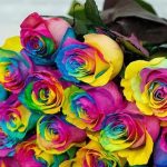 دانلود آهنگ هلن انرژی / بهم بگو کجای زندگیتم بهم بگو چقد واست عزیزم