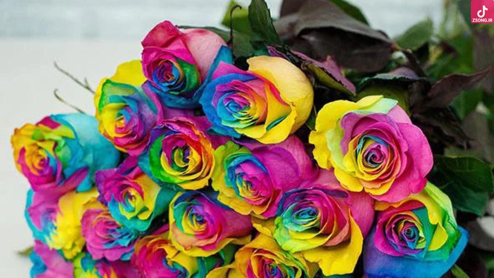 دانلود آهنگ هلن انرژی / بهم بگو کجای زندگیتم بهم بگو چقد واست عزیزم