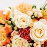 دانلود آهنگ حمیرا به یاد روح انگیز / دل خون شد از امید و نشد یار یار من