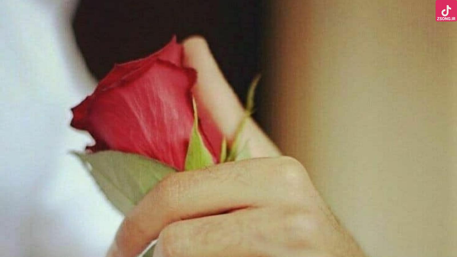 دانلود آهنگ مهستی بی برو برگرد / هر جا میری برگرد دلم کیش و ماتته با یه حرکت