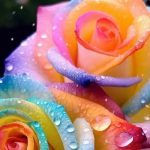 دانلود آهنگ مرجان شکسته / ای وطن ای خانه ی من بی تو من جایی ندارم