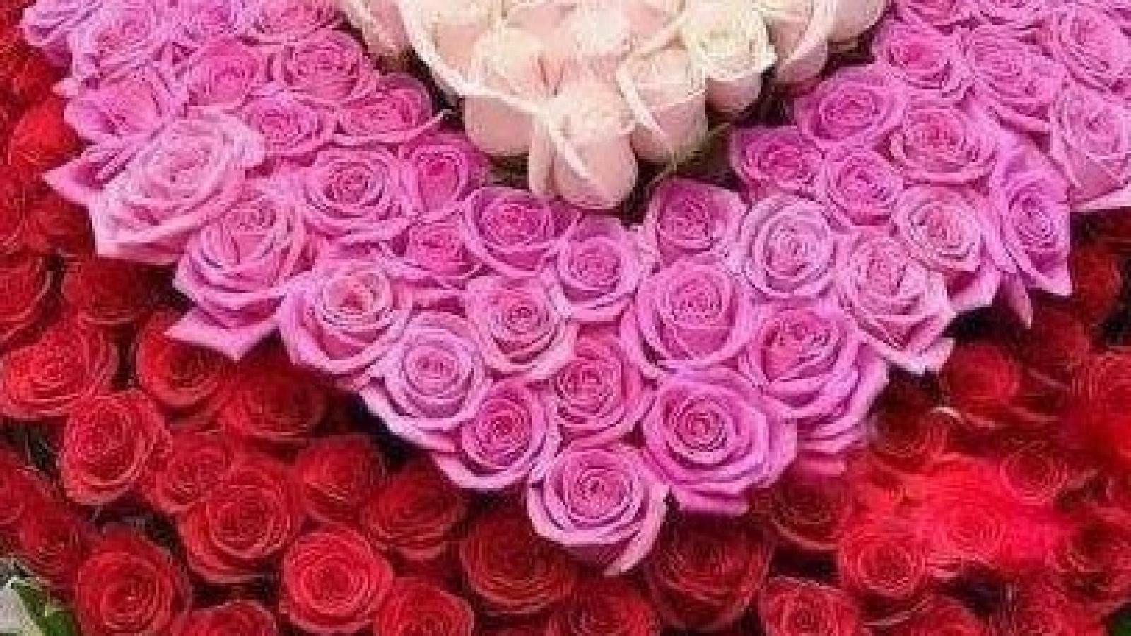 دانلود آهنگ مرضیه بت چین / من از تو دوری نتوانم دگر وز تو صبوری نتوانم دگر عزیز دلم