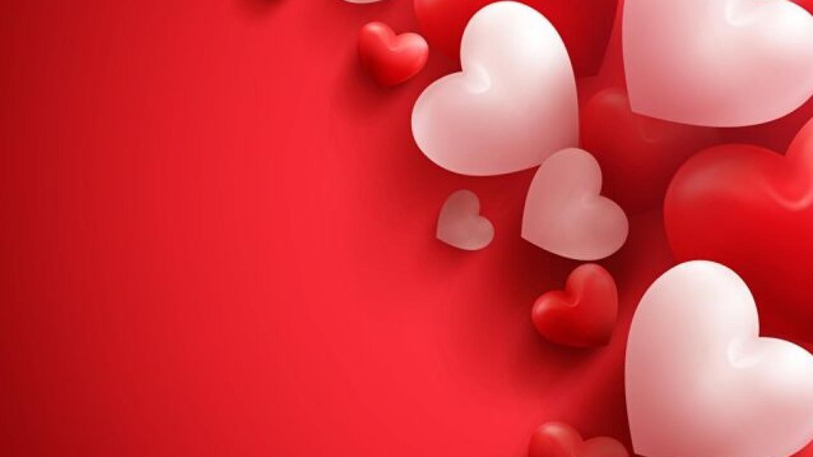 دانلود آهنگ مرضیه دیدی که رسوا شد دلم غرق تمنا شد دلم