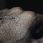 دانلود آهنگ مسلک حواسش هست بهت