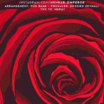 دانلود آهنگ مهراب باغبون {دلم اونجاییو میخواد که تو باغبونش باشی من گل توی باغش}