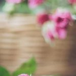 دانلود آهنگ نوش آفرین سوهانی رات (دل منه تو با تو اشقکی باندرنا جگکی یار کره اهسا دونیا چیرکک یا تو رگکی)