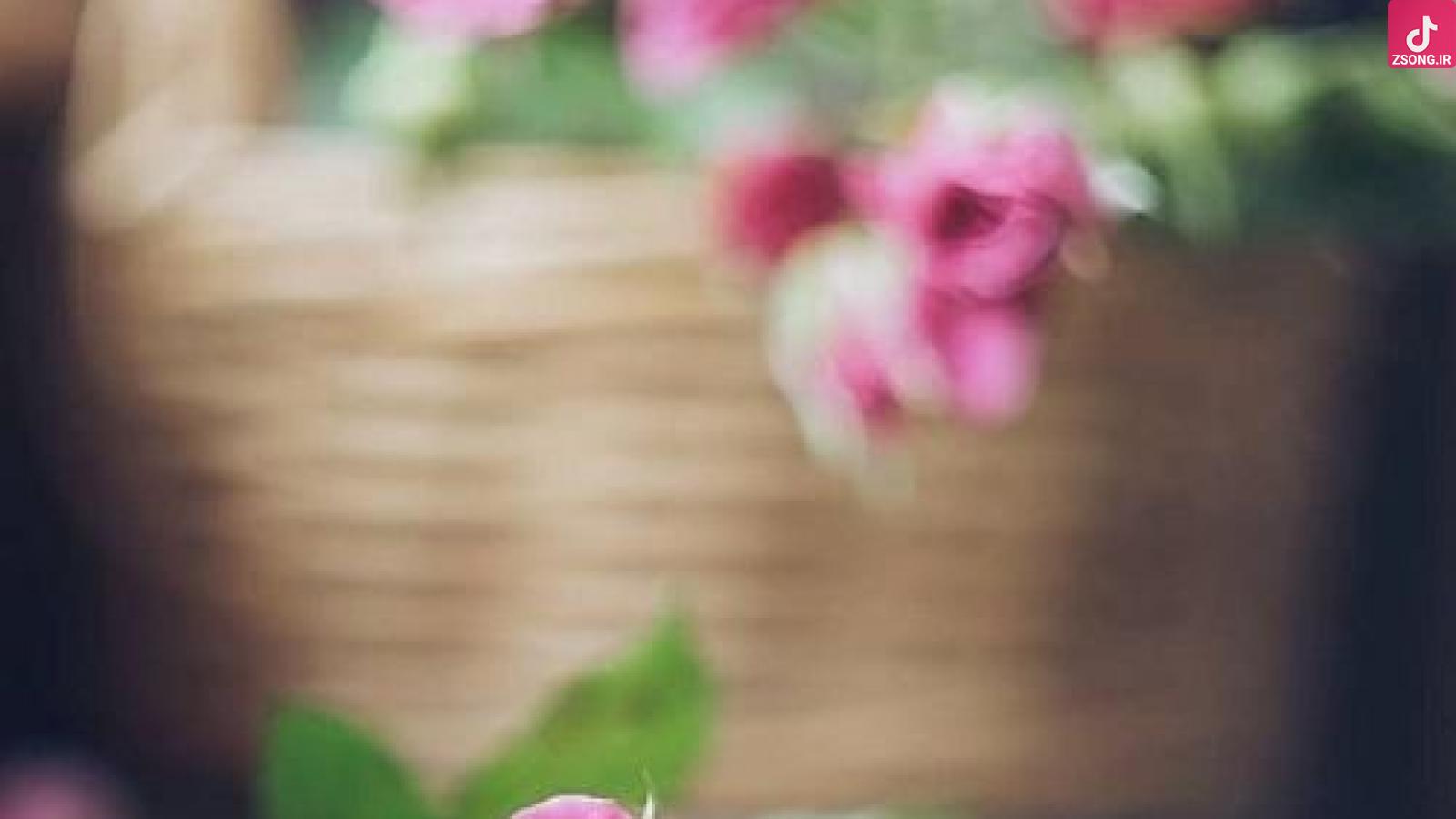 دانلود آهنگ نوش آفرین سوهانی رات (دل منه تو با تو اشقکی باندرنا جگکی یار کره اهسا دونیا چیرکک یا تو رگکی)