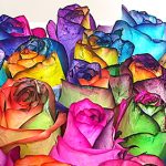 دانلود آهنگ پوران دستی نگیرد دست من / من ناتوان افتاده ام دین و دل از کف داده ام