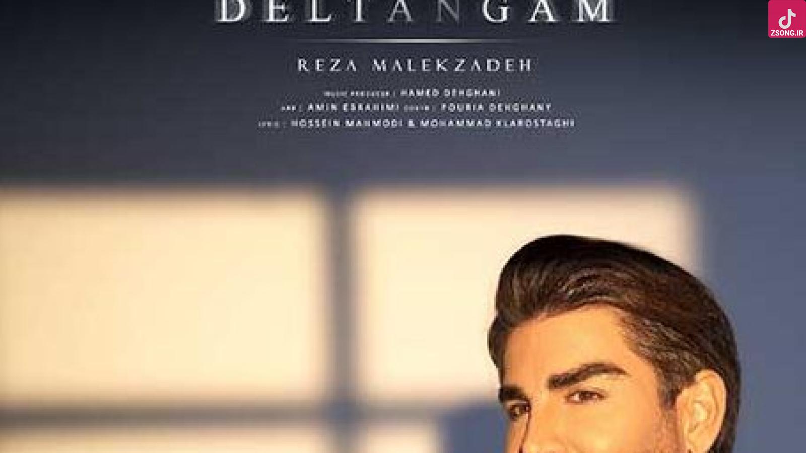 دانلود آهنگ رضا ملک زاده دلتنگم برای تو برای خونه