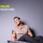 دانلود آهنگ شهاب مظفری ما با حالیم / چه بد رقم بی قرارتم خوب میشه میبینی ….