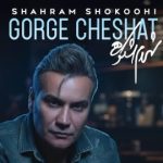 دانلود آهنگ شهرام شکوهی گرگ چشات زده به گله ی دلم دور چشات داره میگرده دلم