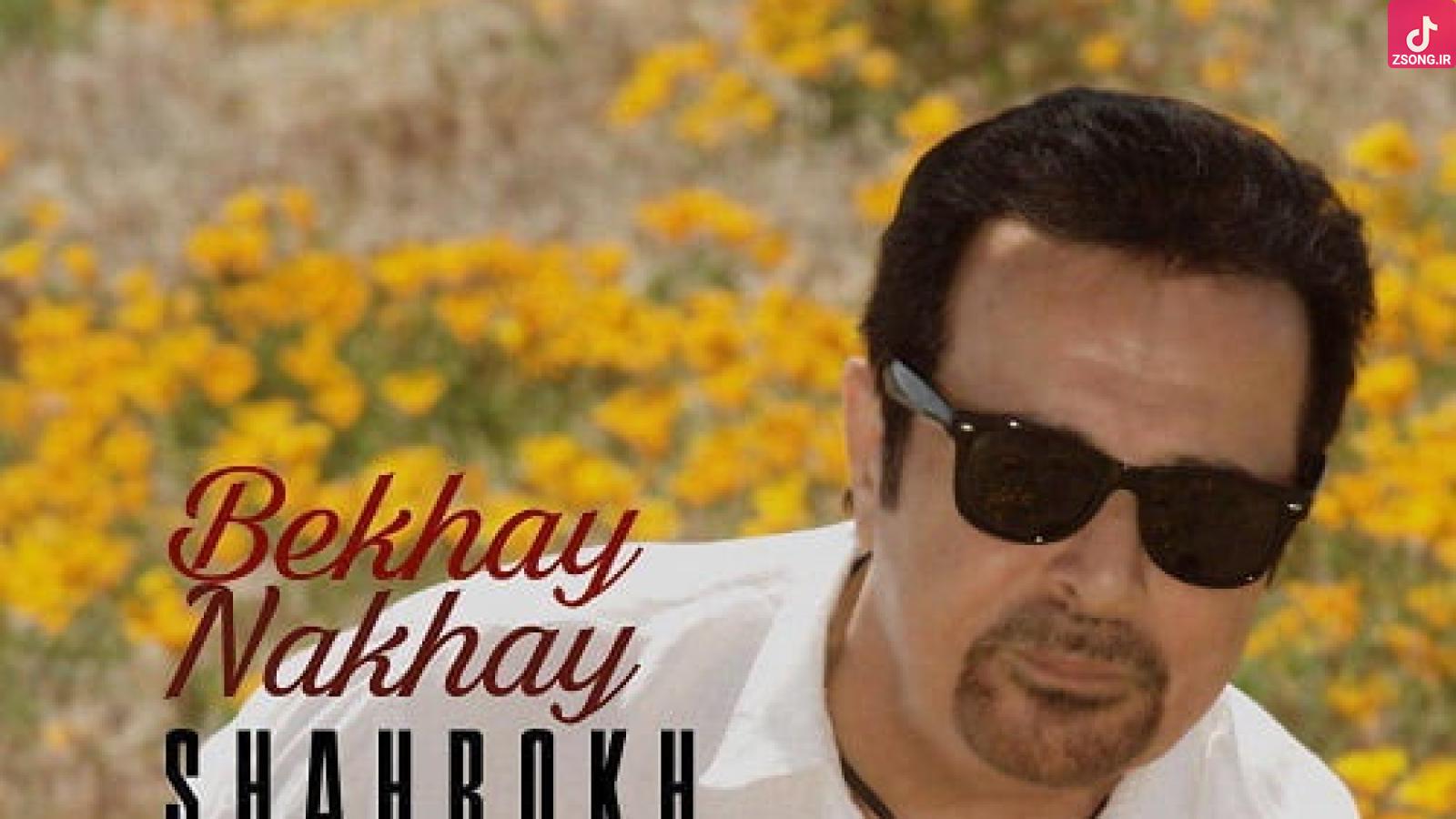 دانلود آهنگ شاهرخ بخوای نخوای / هوایِ غصه خوبه قصه اگه تو باشی قلبِ شکسته خوبه هواشو داشته باشی