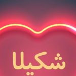 دانلود آهنگ شکیلا وادی عشق / منم آن سالک هفت وادی عشق