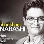 دانلود آهنگ سینا شعبانخانی اگه نباشی دیوونه میشم یه ویرونه میشم دیگه عاشق نمیشم