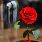 دانلود آهنگ سوگند حبیبی کامه تو ایران این جا همه اورجینالان