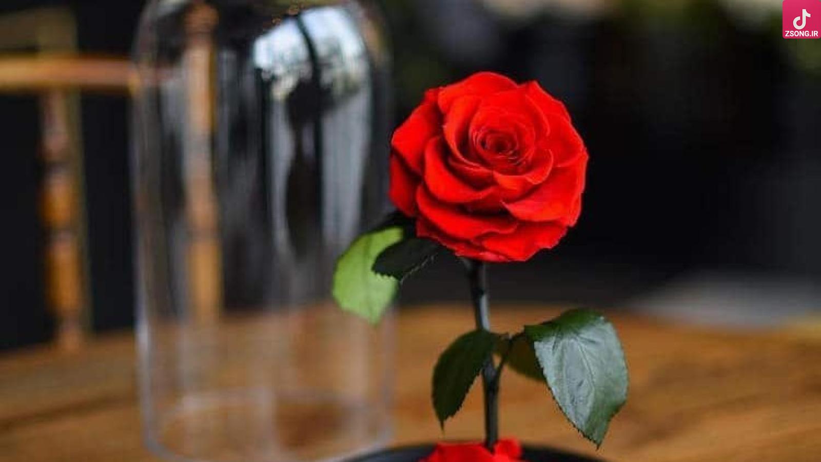 دانلود آهنگ سوگند حبیبی کامه تو ایران این جا همه اورجینالان