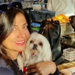 دانلود آهنگ سوزان روشن دل دیوونه باز هواتو کرده با خیالِ تو، بی‌قراره هر شب